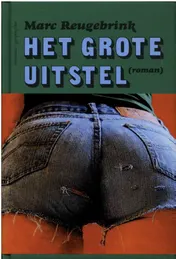 Omslag van Het grote uitstel