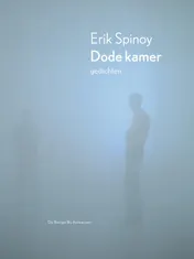 Omslag van Dode kamer