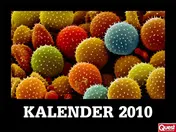 Omslag van 2010 nano fotografie