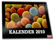 Omslag van Quest kalender klien