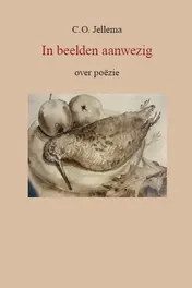 Omslag van In beelden aanwezig