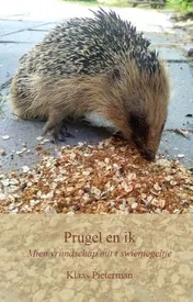 Omslag van Prugel en ik