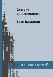 Omslag van Gezicht op Amersfoort