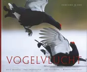 Omslag van Vogelvlucht