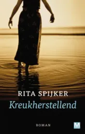 Omslag van Kreukherstellend