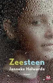 Omslag van Zeesteen