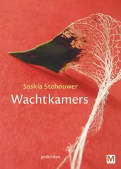 Omslag van Wachtkamers