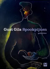 Omslag van Spookpijnen