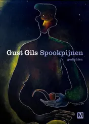 Omslag van Spookpijnen