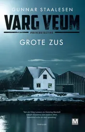 Omslag van Grote zus