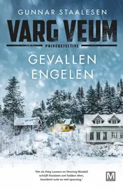 Omslag van Gevallen engelen