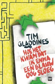 Omslag van Hoe het kwam dat ik Emma een blauw oog sloeg
