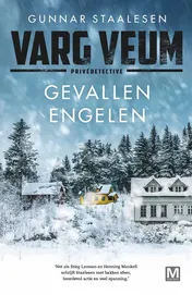 Omslag van Gevallen engelen