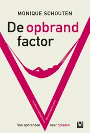 Omslag van De opbrandfactor