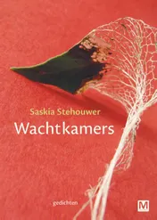 Omslag van Wachtkamers