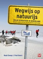 Omslag van Wegwijs op natuurijs