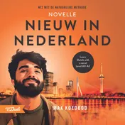 Omslag van Nieuw in Nederland
