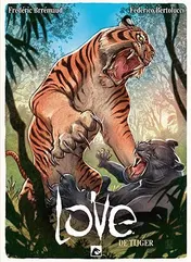 Omslag van De tijger