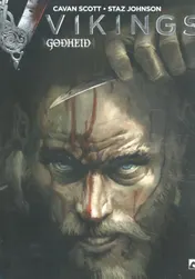 Omslag van Vikings Godheid