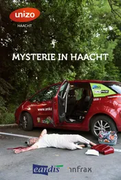 Omslag van Mysterie in Haacht