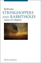 Omslag van Stringhoppers and Rabbitholes