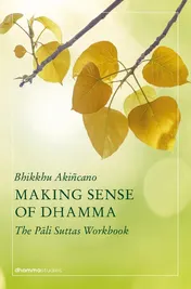 Omslag van Making Sense of Dhamma