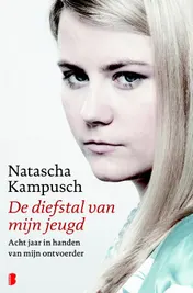Omslag van Diefstal van mijn jeugd