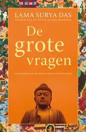Omslag van De grote vragen