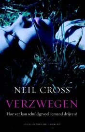 Omslag van Verzwegen