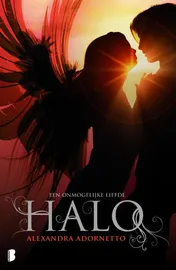 Omslag van Halo