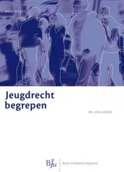 Omslag van Jeugdrecht begrepen