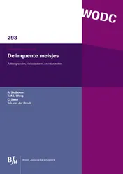 Omslag van Delinquente meisjes