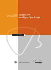 Omslag van Bijzondere arbeidsverhoudingen
