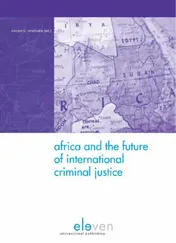 Omslag van Africa and the future of international criminal justice