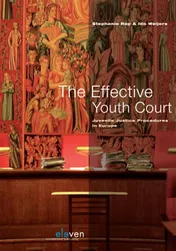Omslag van The effective youth court
