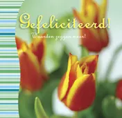 Omslag van Gefeliciteerd