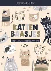 Omslag van Scheurkalender 2026 Kattenbaasjes