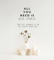 Omslag van All you need is less stress