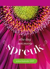 Omslag van Scheurkalender 2027 Elke dag een mooie spreuk