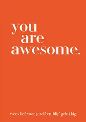 Omslag van you are awesome.