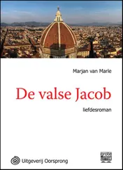 Omslag van De valse Jacob