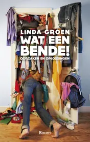 Omslag van Wat een bende!