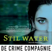 Omslag van Stil water