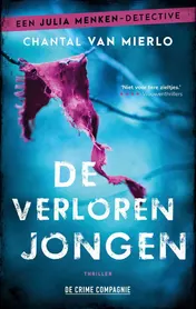 Omslag van De verloren jongen