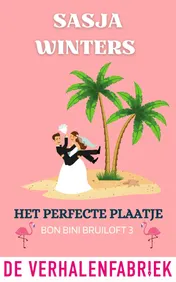 Omslag van Het perfecte plaatje