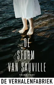 Omslag van De storm van Sauville