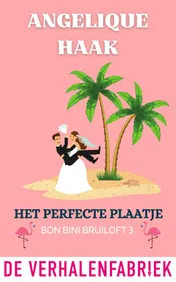Omslag van Het perfecte plaatje