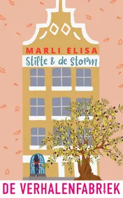 Omslag van Stilte & de storm