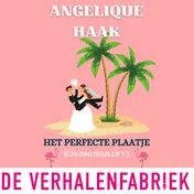 Omslag van Het perfecte plaatje