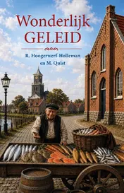 Omslag van Wonderlijk geleid